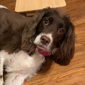 Meet your Posher, Angie